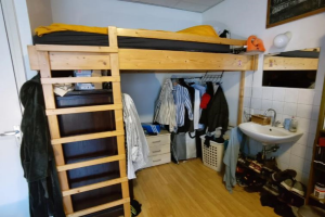 For rent: Room Voorstadslaan, Nijmegen - 1