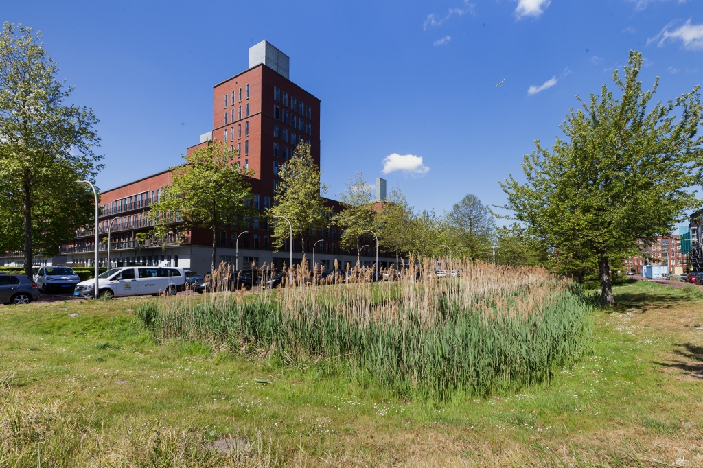 Te huur: Appartement Steentijdsingel, Den Haag - 32