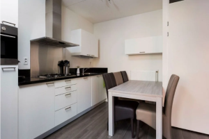 Te huur: Appartement Baak van Herkingen, Amersfoort - 1