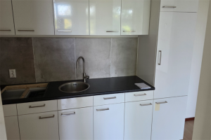 Te huur: Appartement Bronbeeklaan, Arnhem - 1