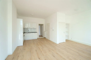 Te huur: Appartement Aert van der Goesstraat, Den Haag - 1