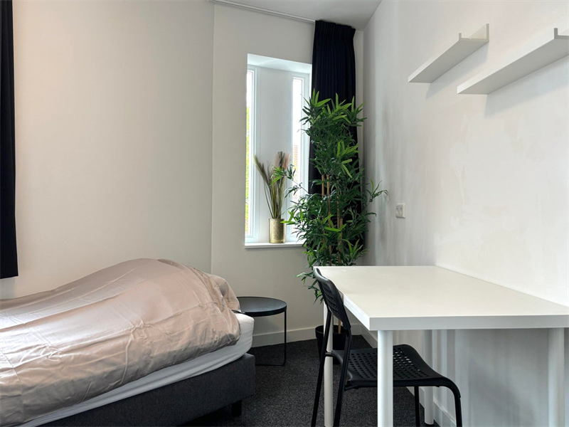 For rent: Room Willem de Zwijgerstraat, Eindhoven - 5