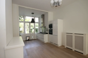 Te huur: Appartement Snelliusstraat, Den Haag - 1