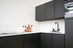 Te huur: Appartement Koningin Emmakade, Den Haag - 1