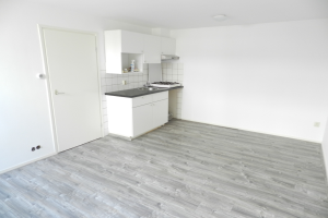 Te huur: Appartement De Wiltstraat, Arnhem - 1