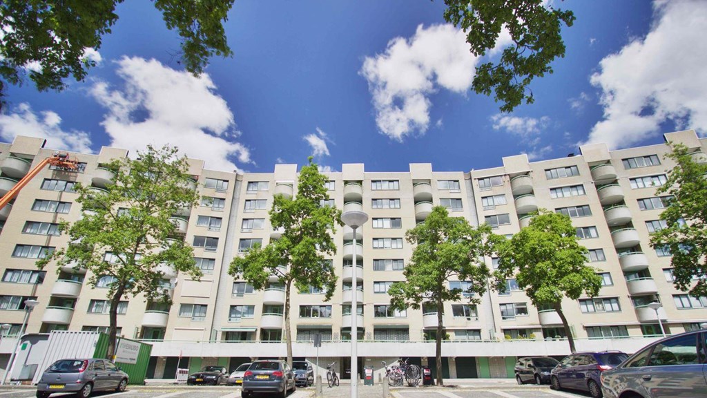 BRAND NEW RENOVATED APARTMENT