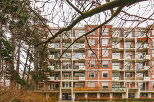 Te huur: Appartement Ranonkelstraat, Den Haag - 1