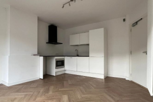 For rent: Apartment Oppenheimstraat, Groningen - 1