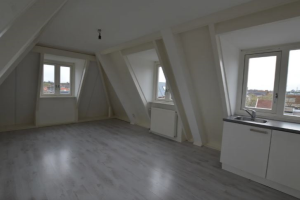 For rent: Apartment Steynlaan, Zeist - 1