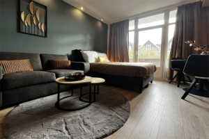 Te huur: Kamer Mijnsherenlaan, Rotterdam - 1