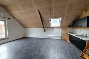 For rent: Studio Vughterstraat, Den Bosch - 1